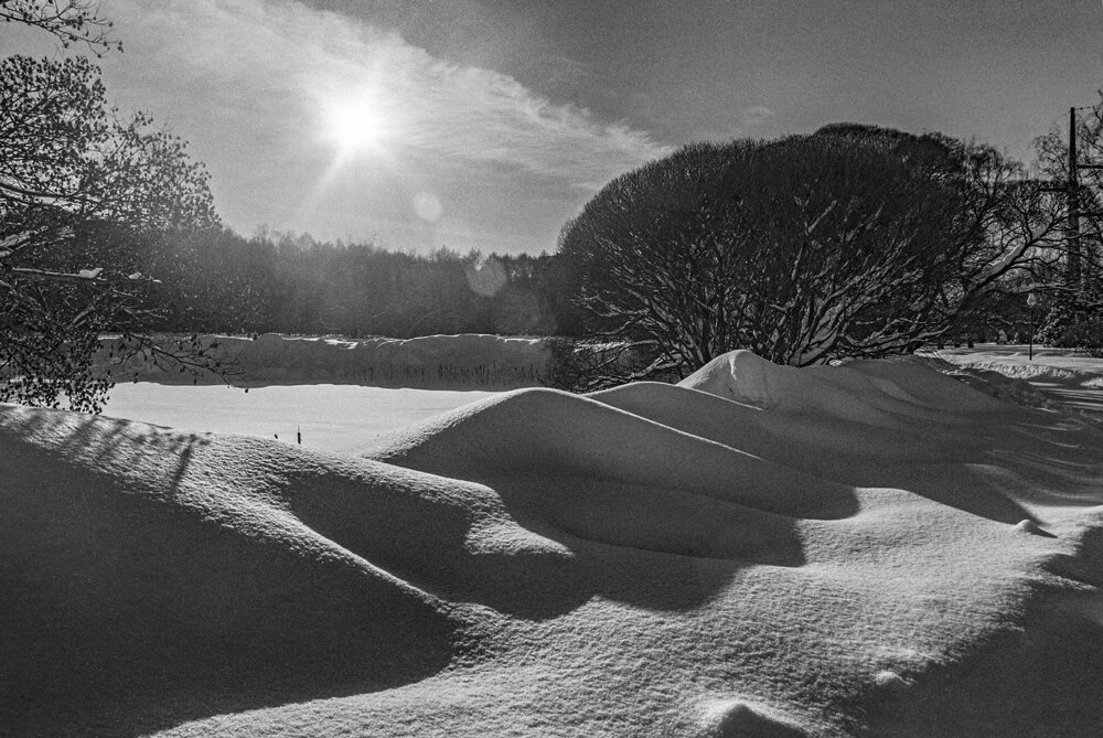 Зима в Ботаническом - Владимир Нефедов