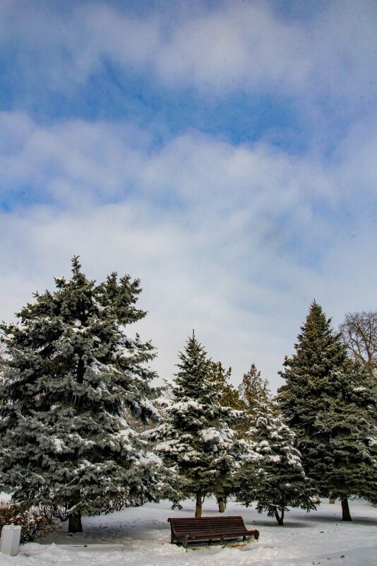 Зимний день - Оксана Новик 