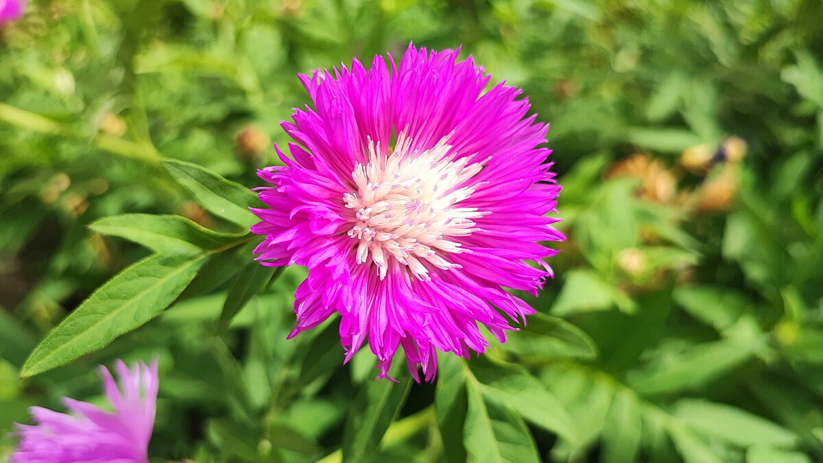 ,,, - Сергей Тимоновский