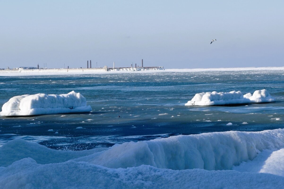 Февраль, Балтийское море, Пионерский, Калининградская область - Рита Симонова