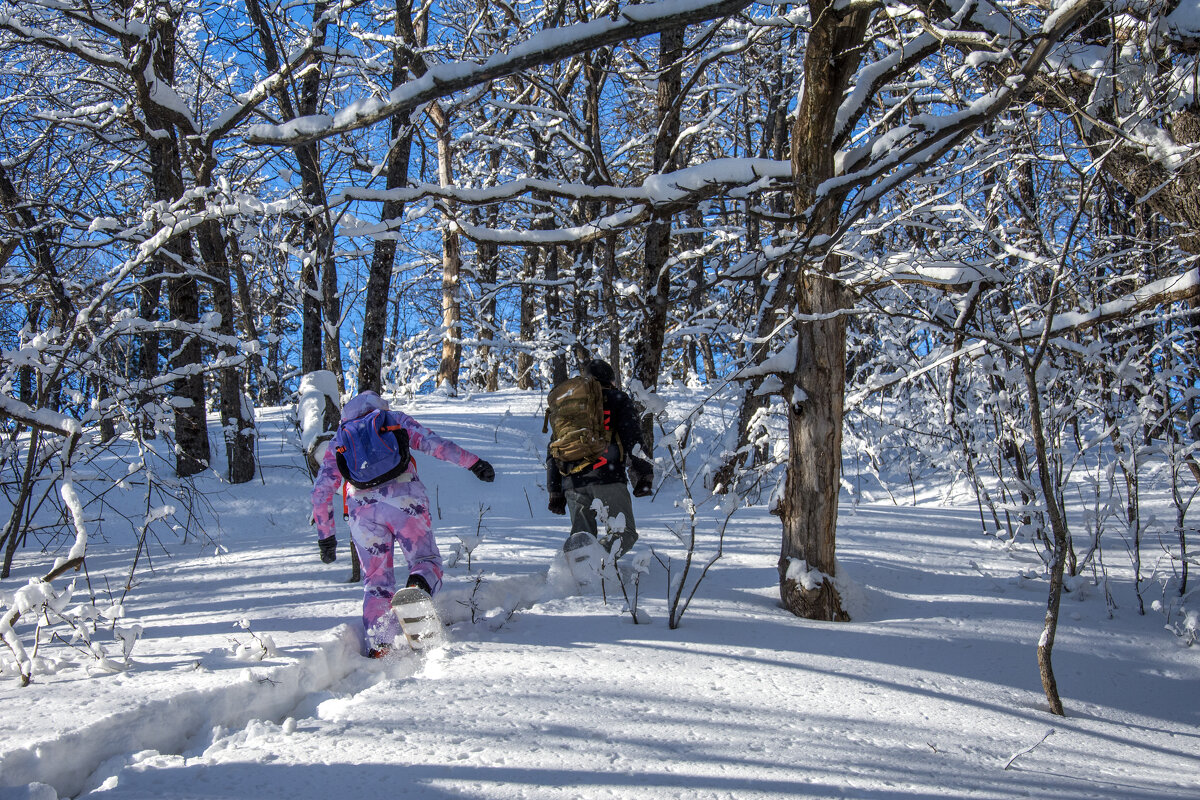 В поход за зимней красотой - Наталья Димова