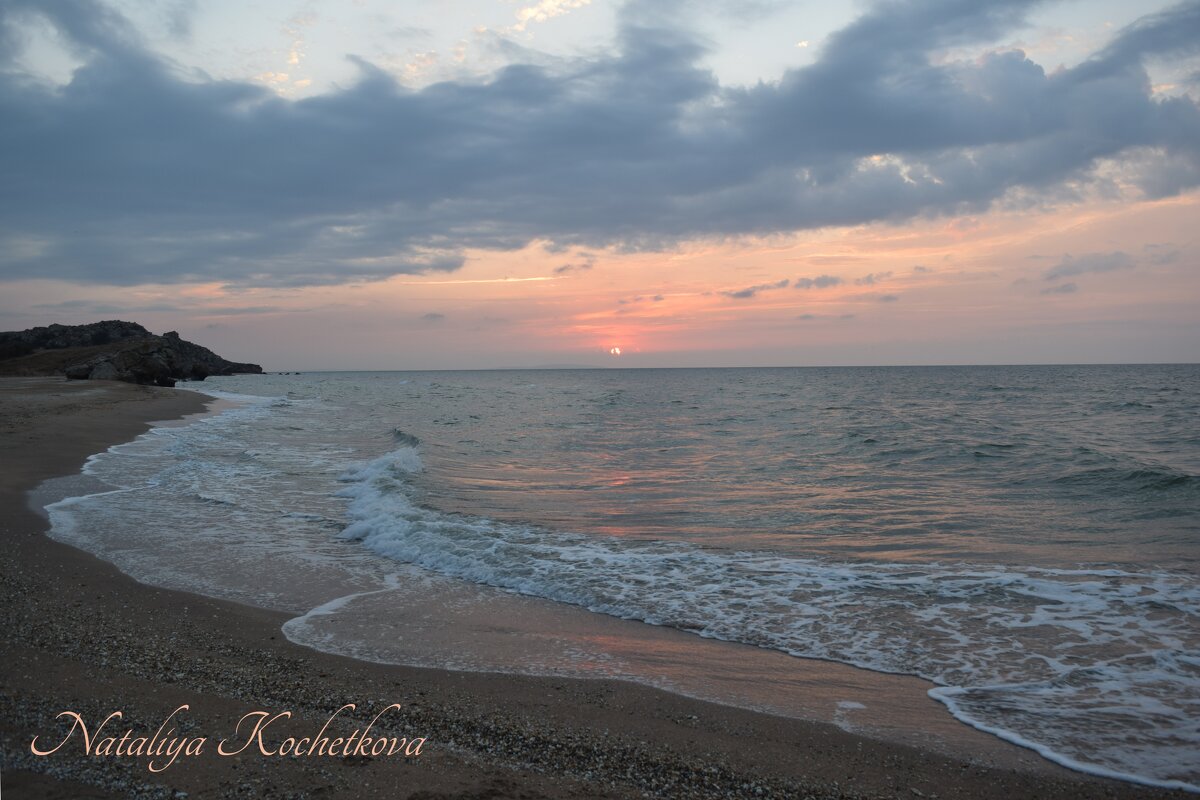 Природа Крыма - Amazing Cosmea