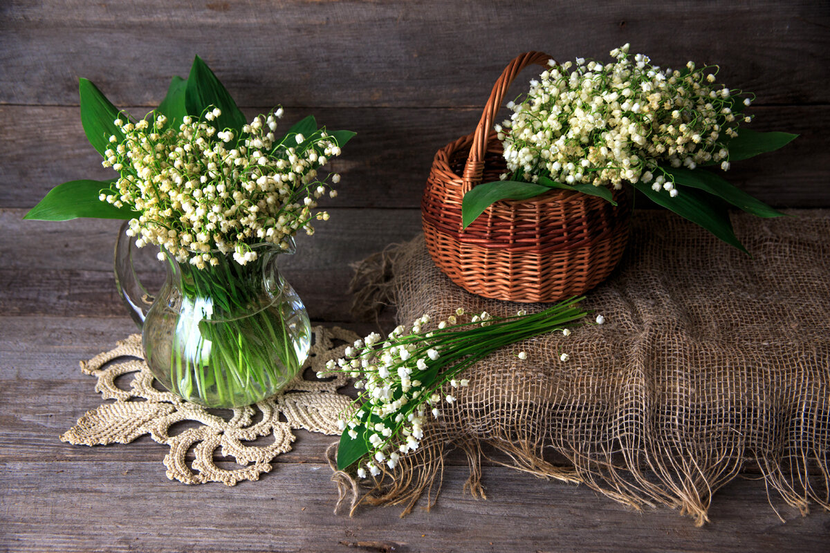 Ландыши - Владимир Гришин