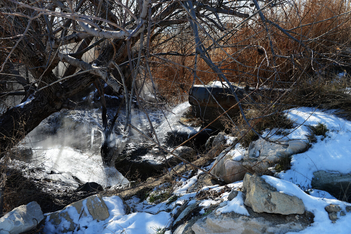 Источник - Анатолий Чикчирный