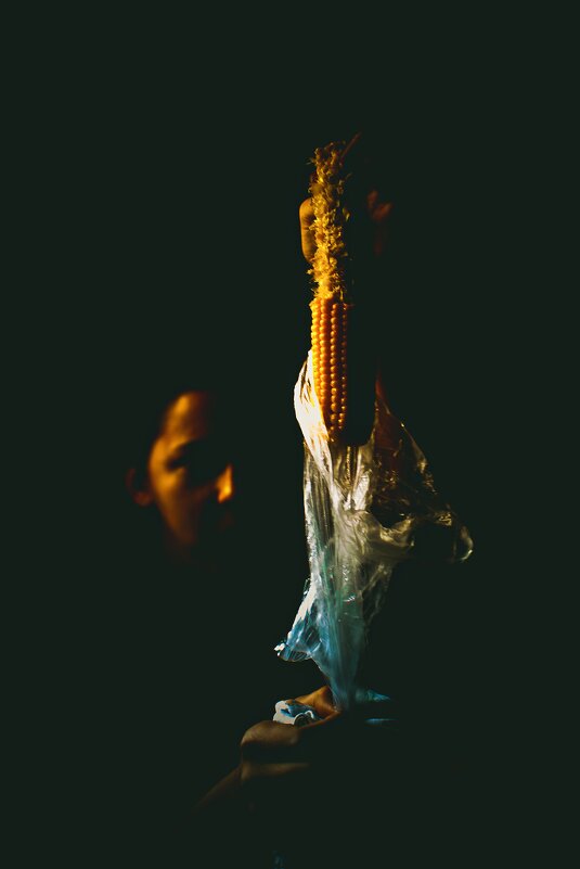 * - Сергей Полянский