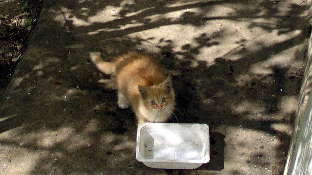 – А что, если рыжий, то ему можно не наливать?.. - Михаил Андреев