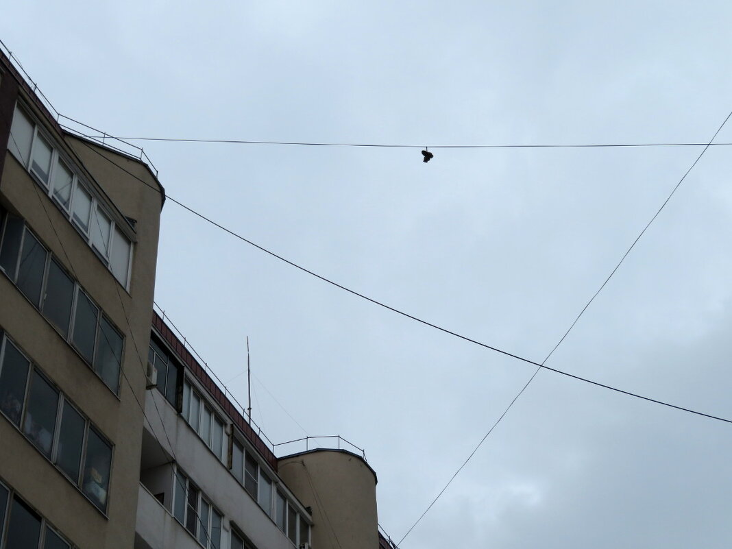 Высший пилотаж (9-й этаж). Норматив ГТО выполнен! - Егор Бабанов Высший пилотаж (9-й этаж). Норматив ГТО выполнен! - Егор Бабанов