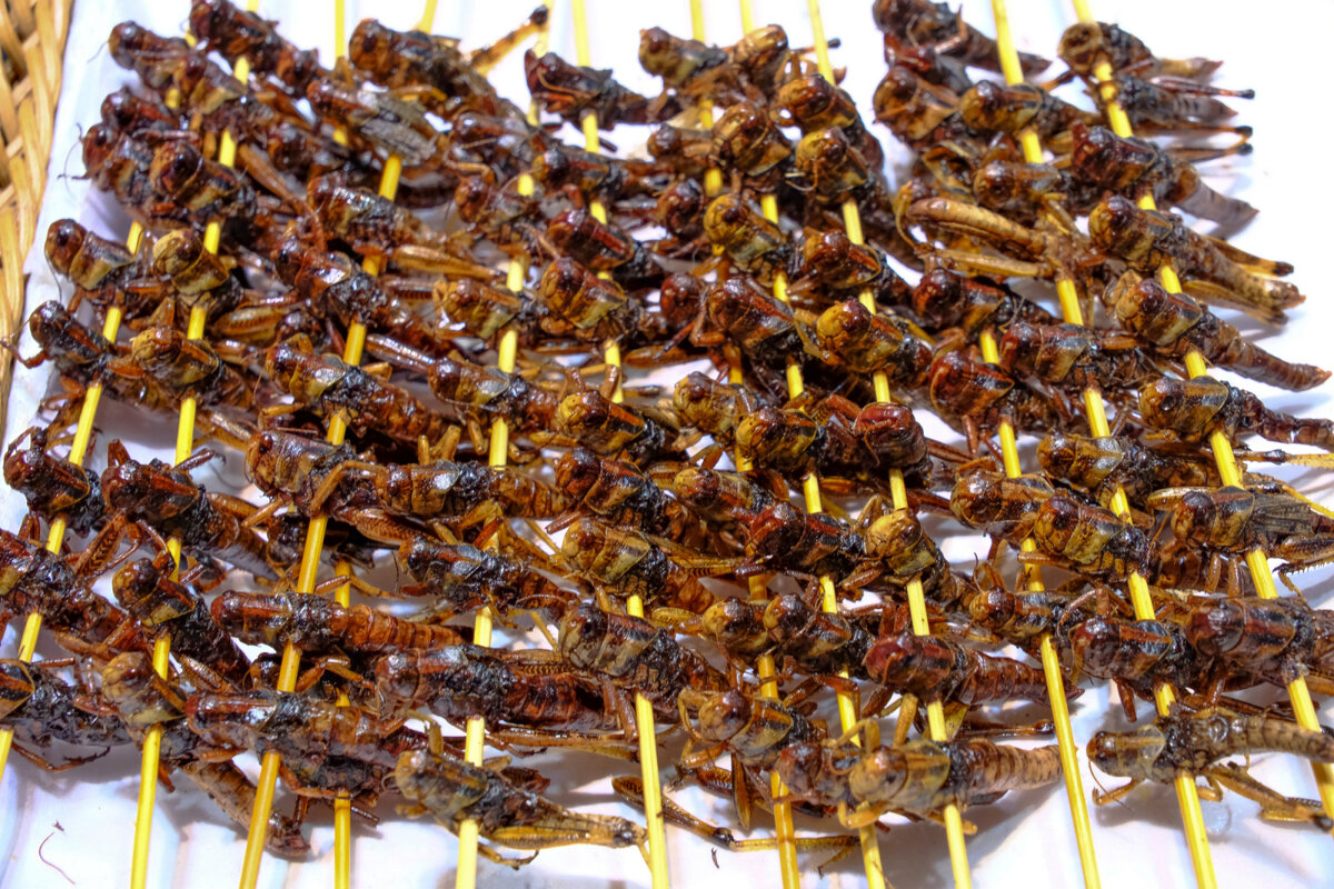 Кулинария по китайский - Георгий А