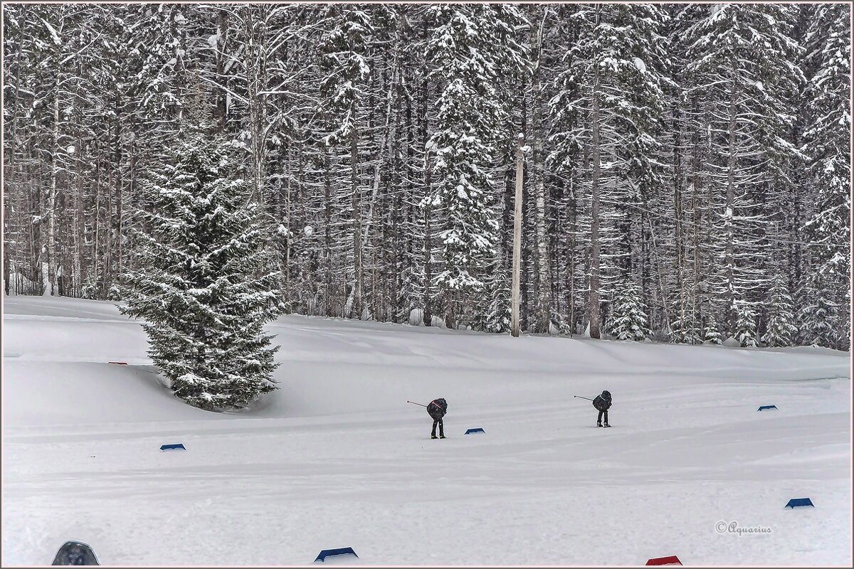 Про зиму и лыжи... - Aquarius - Сергей