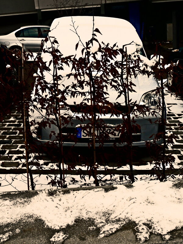 Южная зима - 32 - Алексей Кузнецов