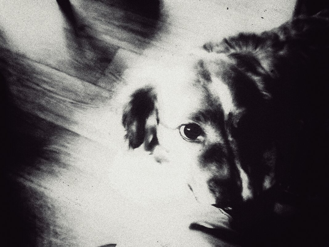 Не помню пароду - Александр Вадимович Crew smail