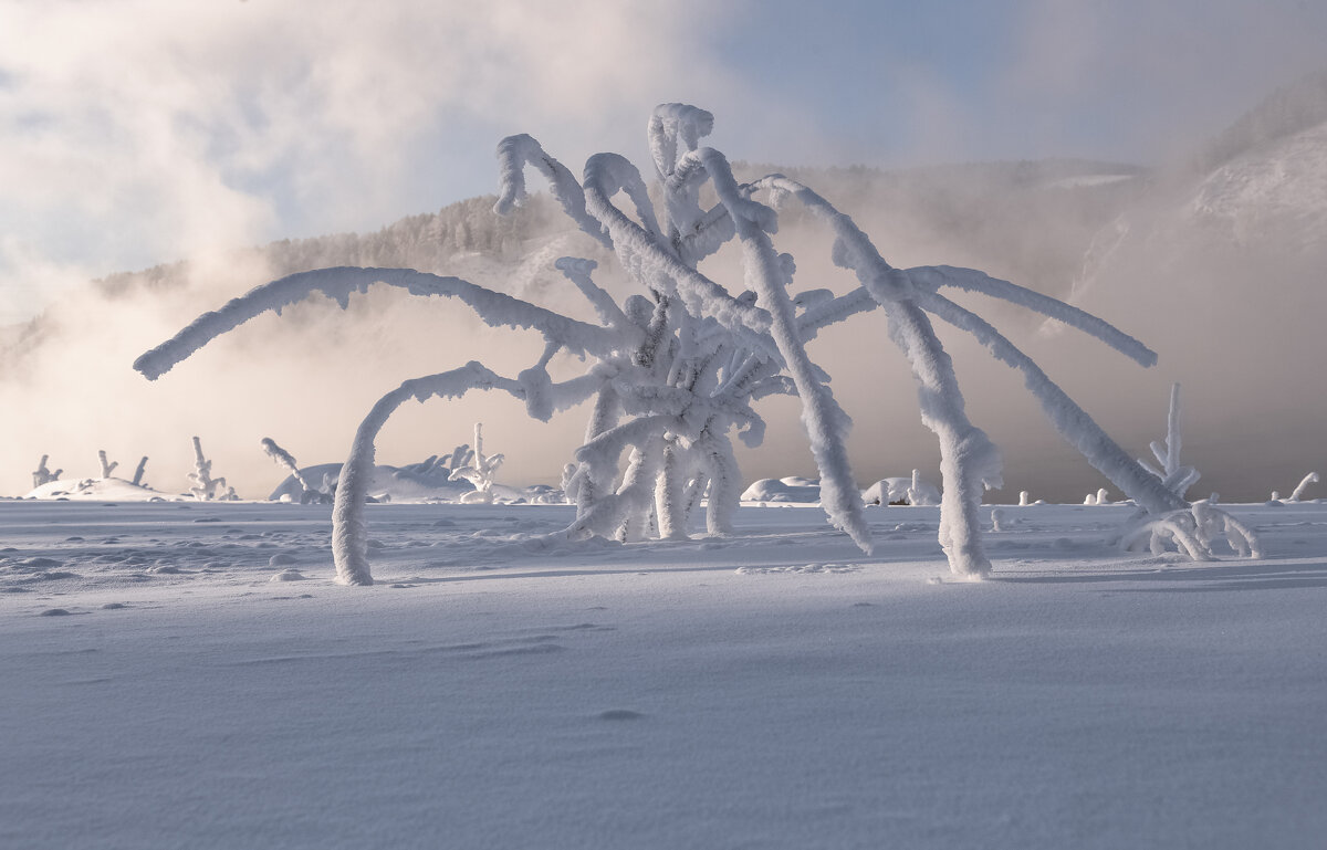 Спрут - Марина Фомина.