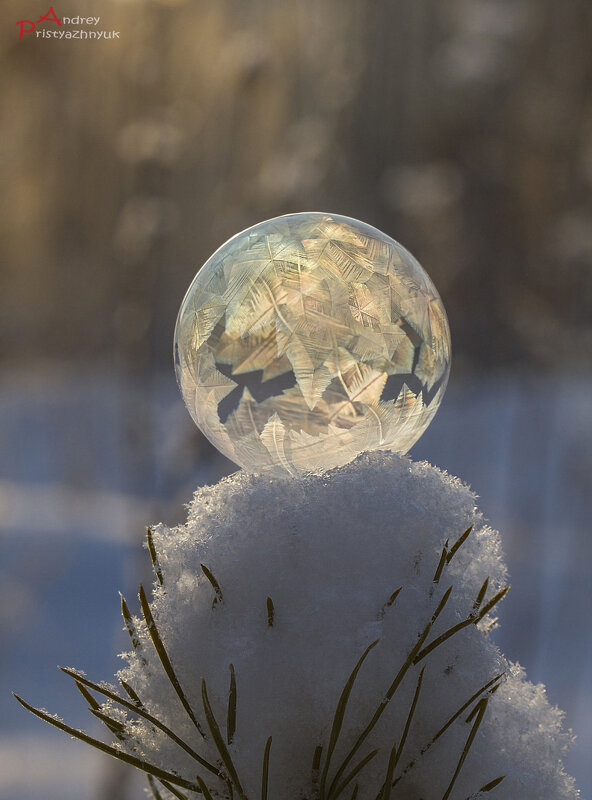 На снегу... - Андрей Пристяжнюк