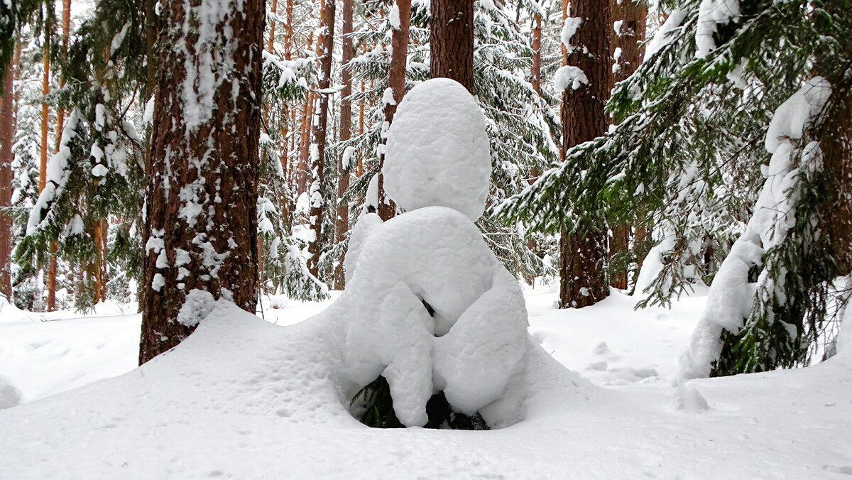 Причуды зимнего леса. - Милешкин Владимир Алексеевич 