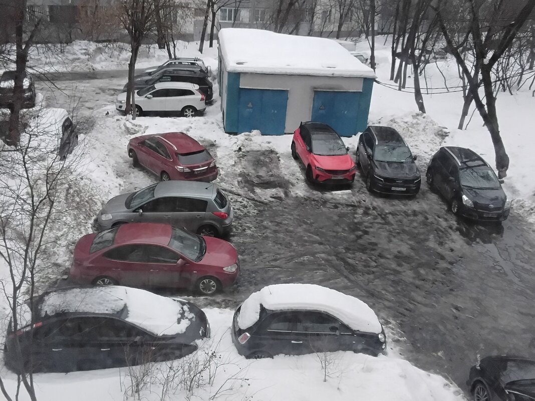 В нашем дворе - Дмитрий Никитин