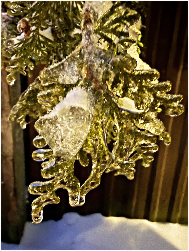 После ледяного дождя. - Валерия Комова