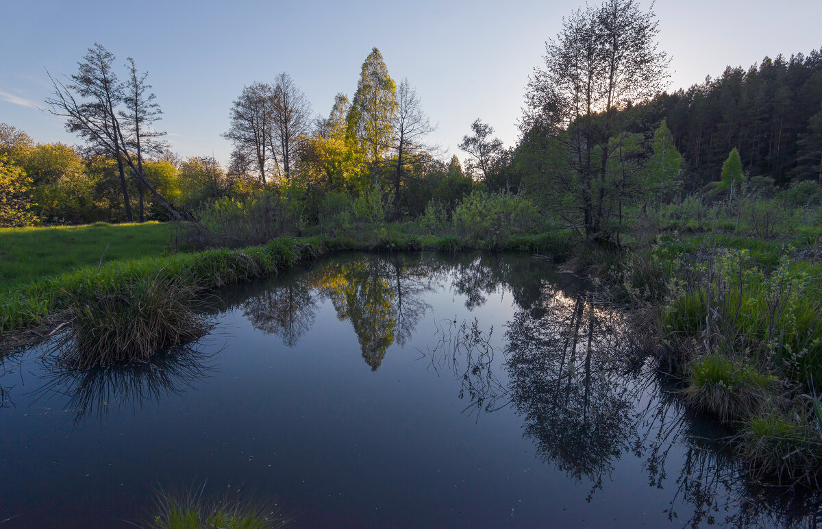 Большой дол - **** vedin
