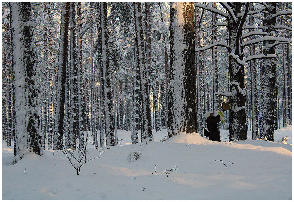 Помочь ближнему - Aleksandr Gal