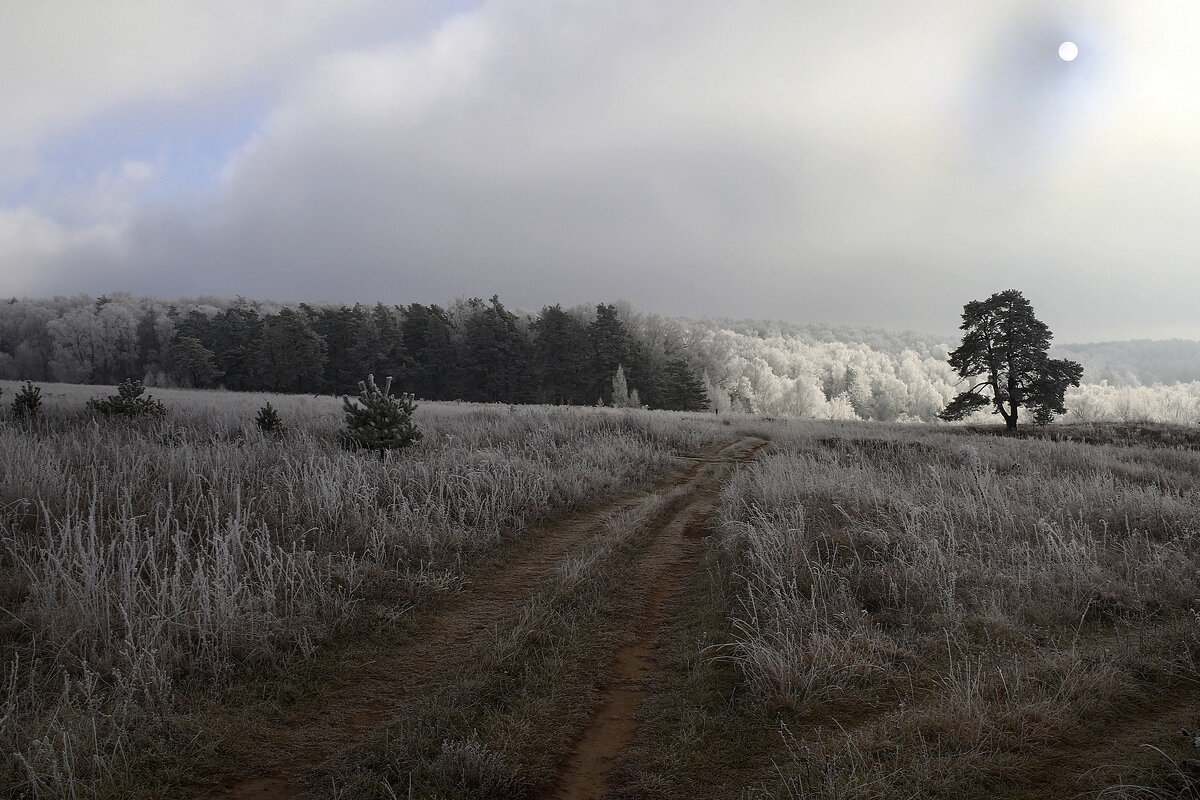 Заморозок - Владимир Гришин