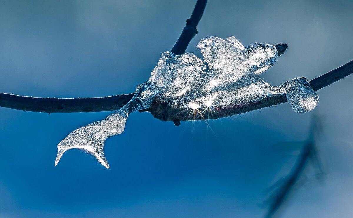 "Русалка" - Андрей Андрианов