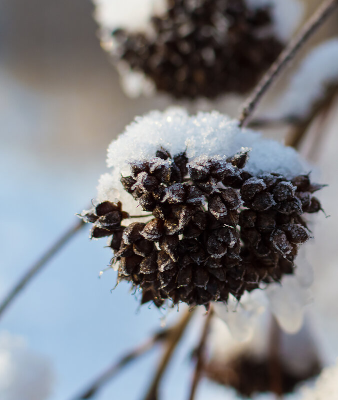 *** - Андрей Андрианов