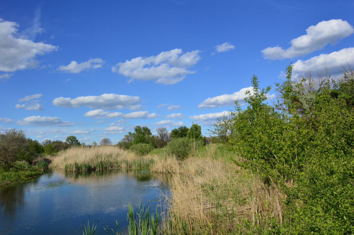 Весна. - Виктор 