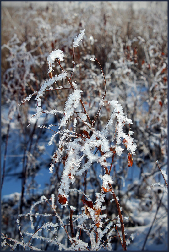 *** - Александр. AVG100 ---