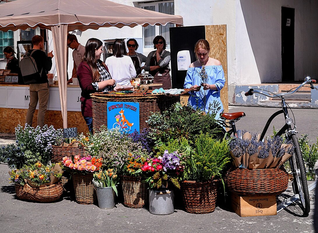 И всё же , с Днём влюблённых вас ! ) - Анатолий Колосов