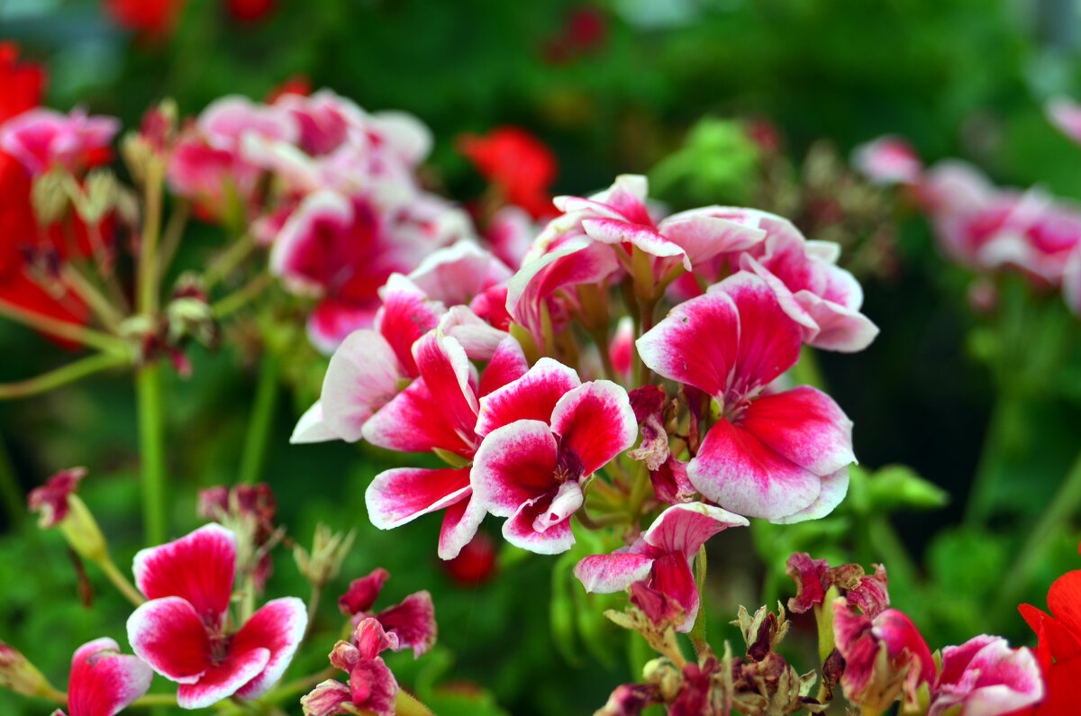 . - Дмитрий Шароватов