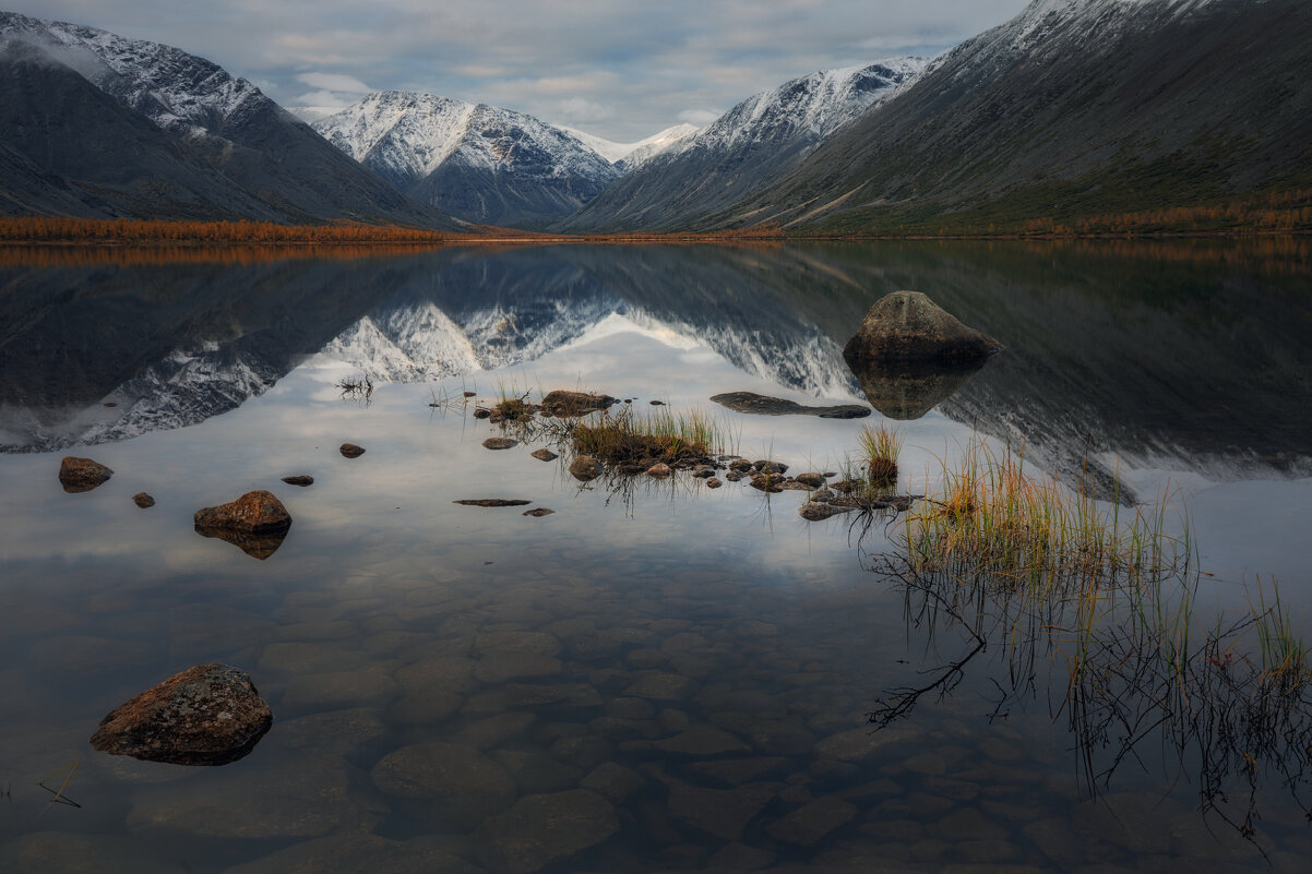 Утреннее безмолвие - Дмитрий Шишкин Утреннее безмолвие - Дмитрий Шишкин