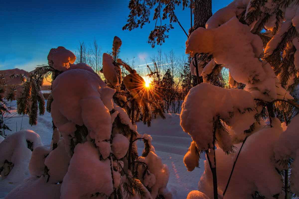Утреннее солнце - Vladimbormotov 