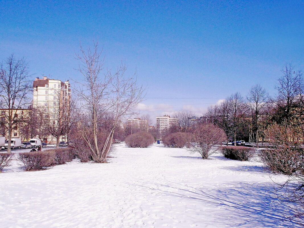 Скоро Весна ! - VasiLina * Скоро Весна ! - VasiLina *