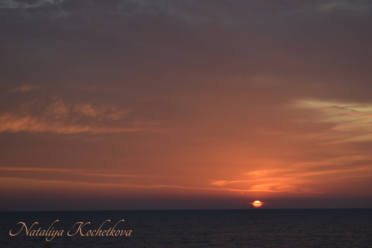 Природа Крыма - Amazing Cosmea