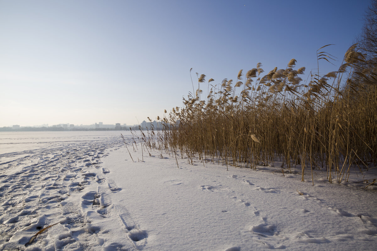 там, за поворотом... - Елена Агеева