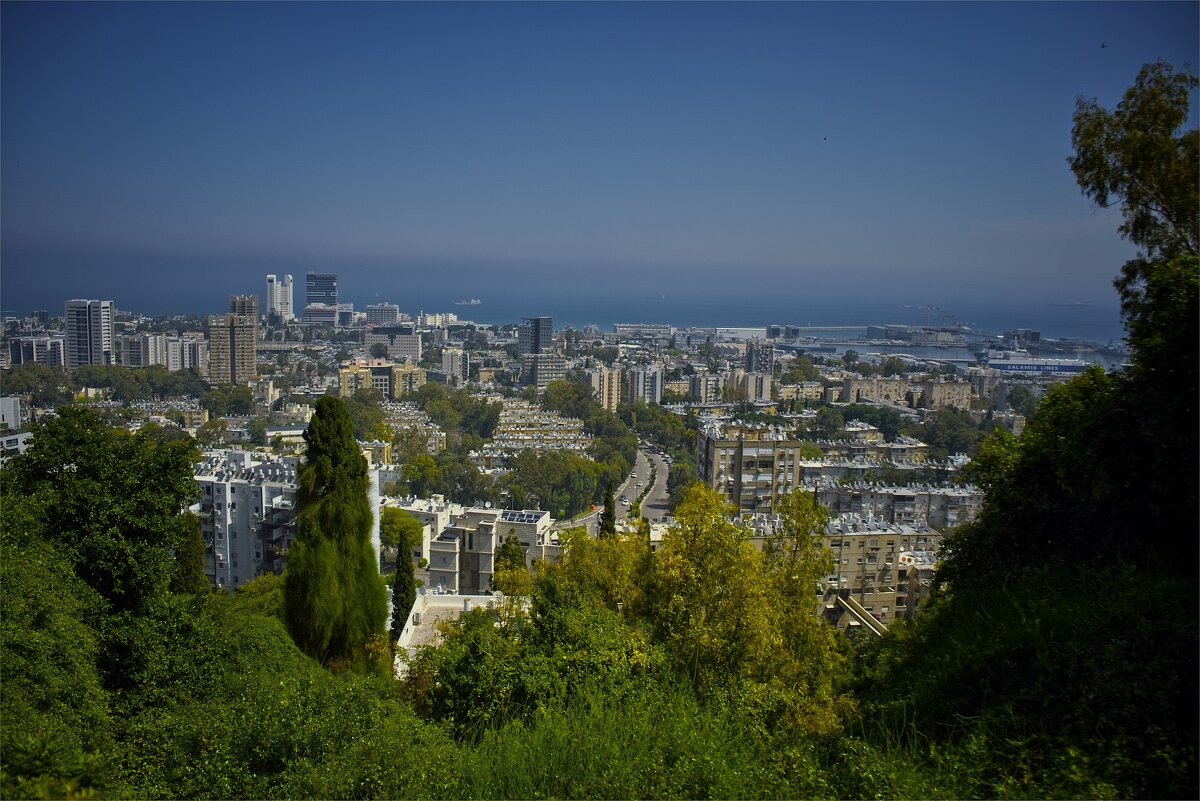 Вид сверху зеленой   Хайфы 2026г - ujgcvbif 