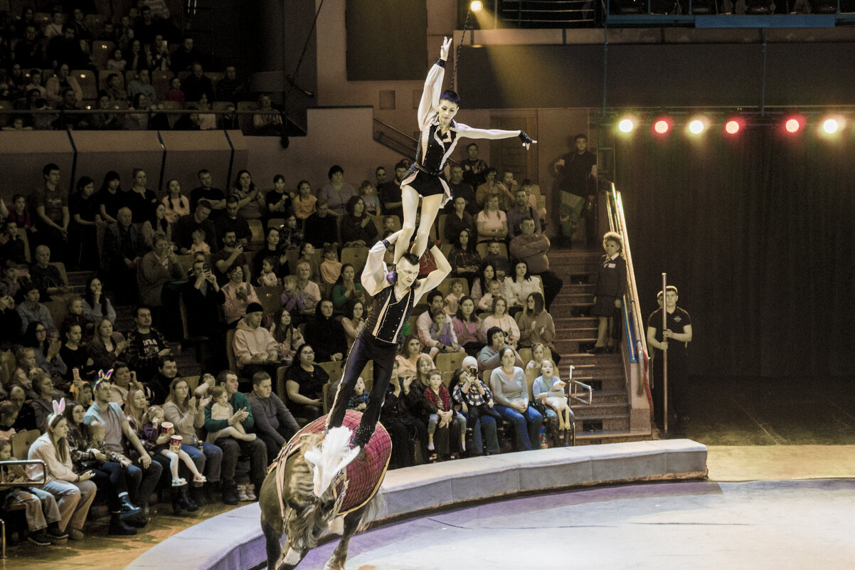 Ижевск ЦИРК - Владимир Максимов