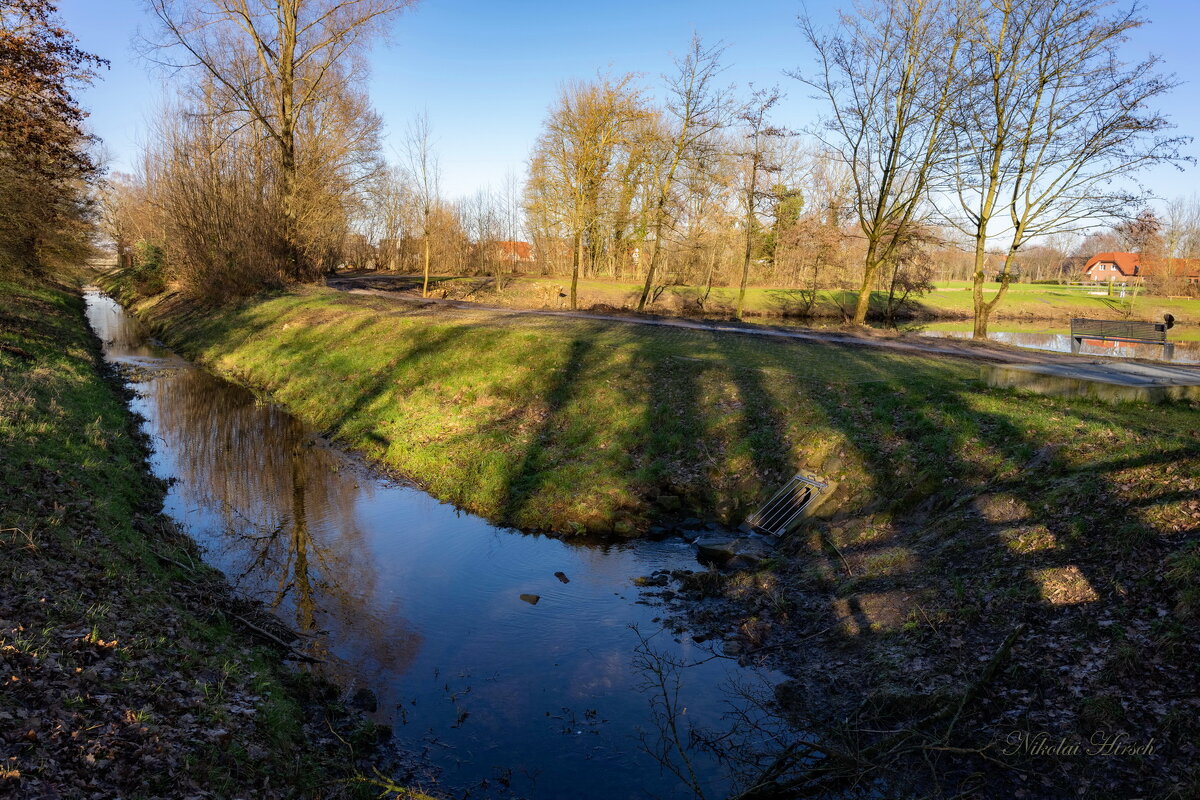 *** - Николай Гирш