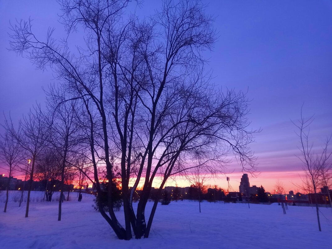 Закат - Сапсан 