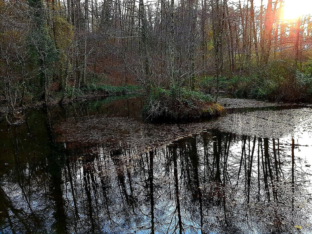 НА ЗАКАТЕ - Tata Wolf