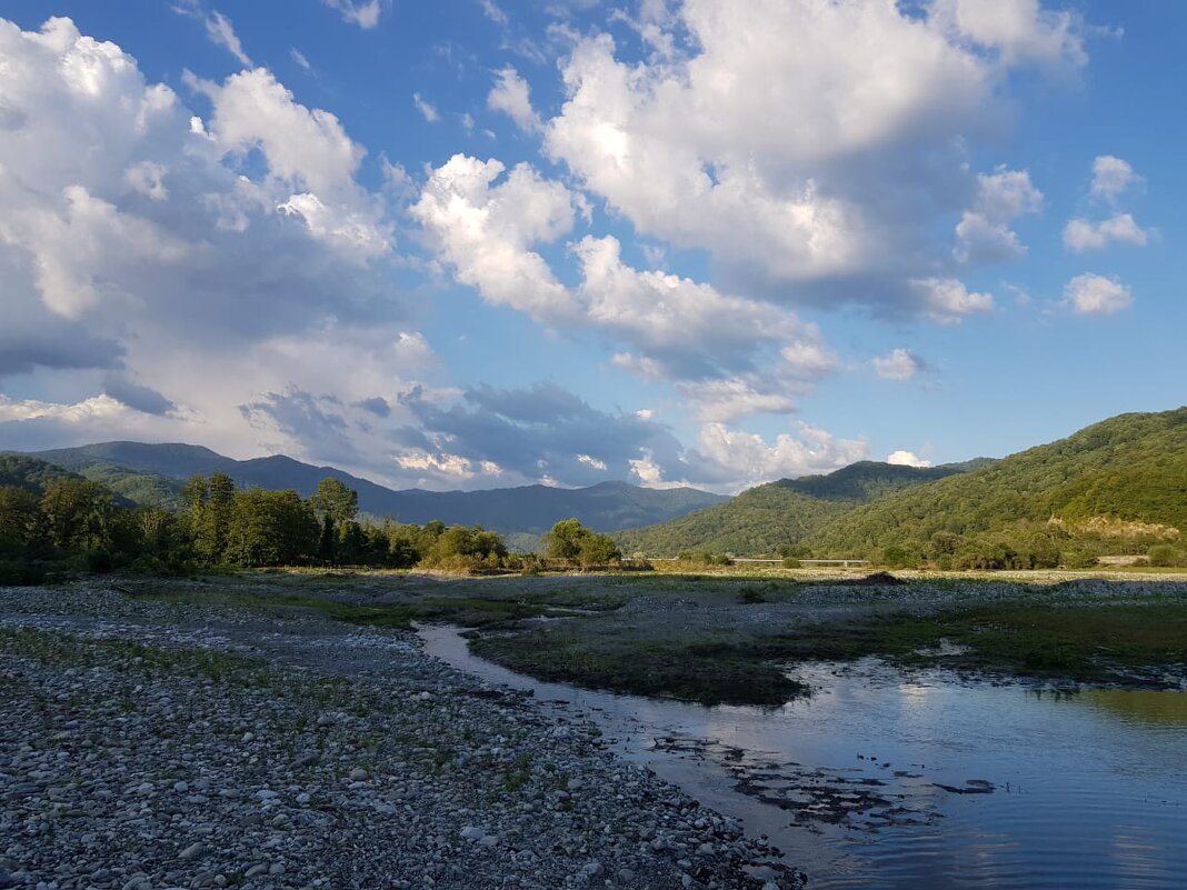 КИЧМАЙ - Tata Wolf