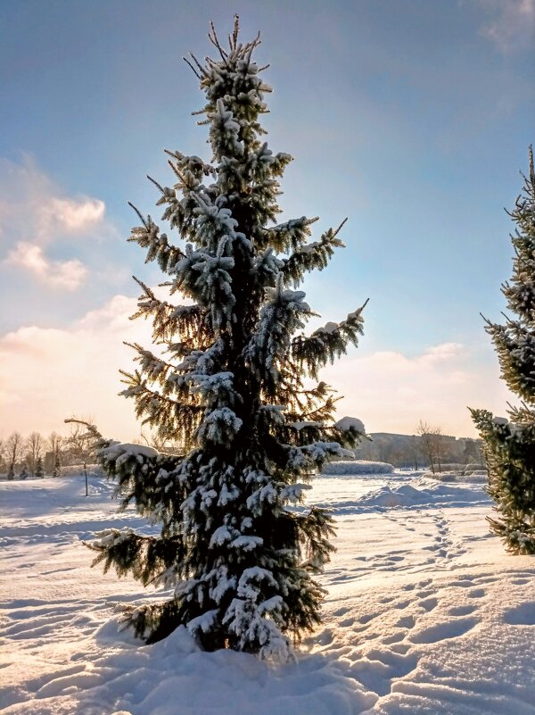 В парке - Veera V