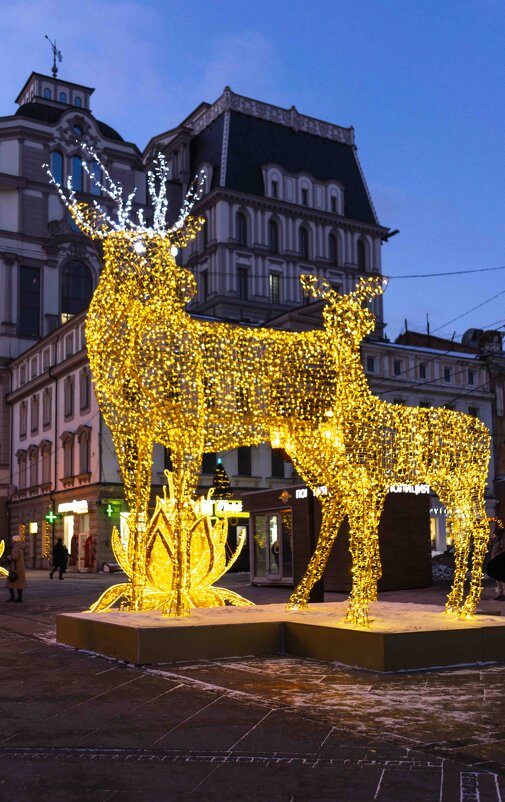 по улице Ленинградской - Ирина Милонова