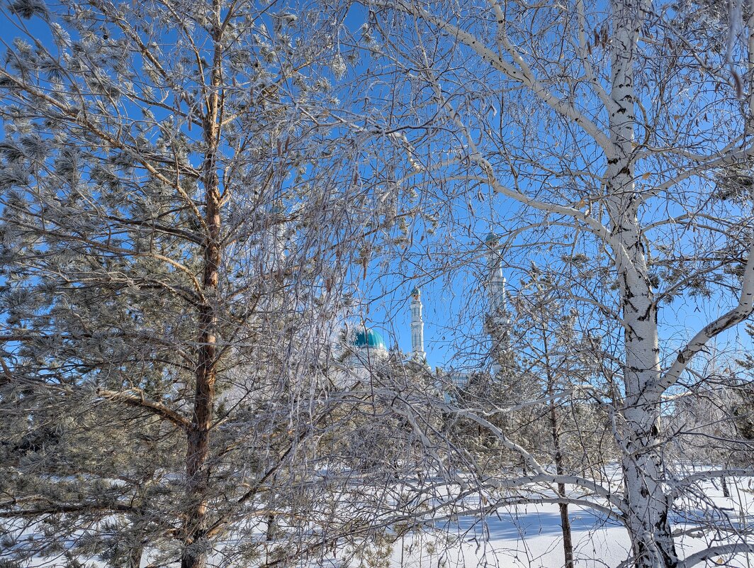 Зимний день - Андрей Хлопонин Зимний день - Андрей Хлопонин