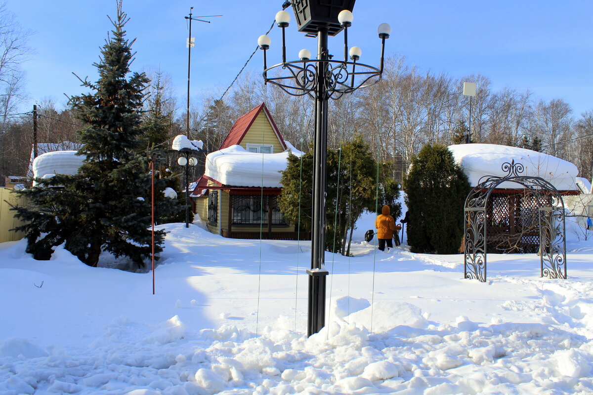 Милый сердцу зимний сад - Татьяна Лютаева Милый сердцу зимний сад - Татьяна Лютаева