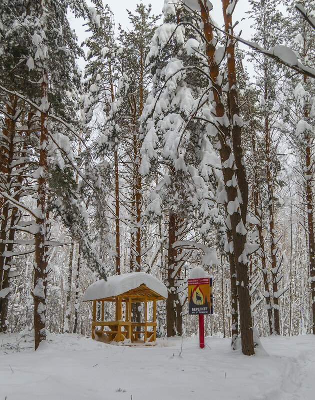 В парке - Сергей Цветков