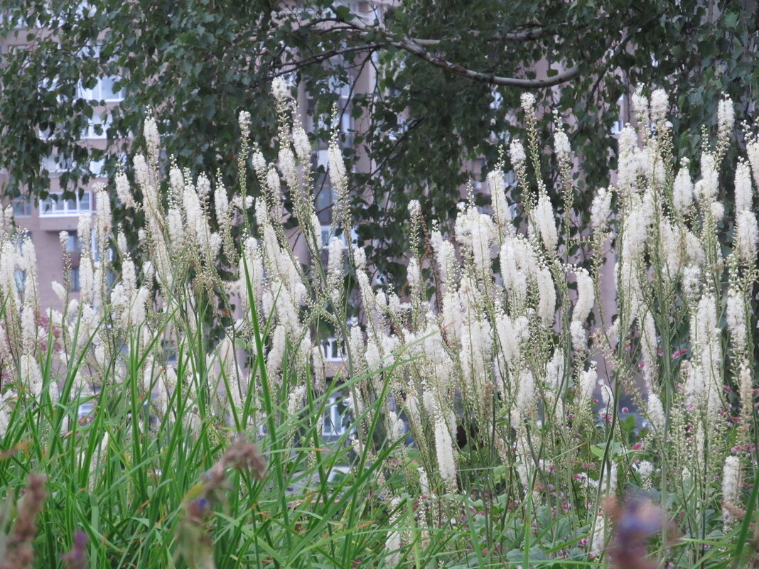 Про Екатеринбург - Елена Шаламова