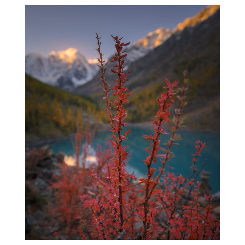 * - Александр Иванов