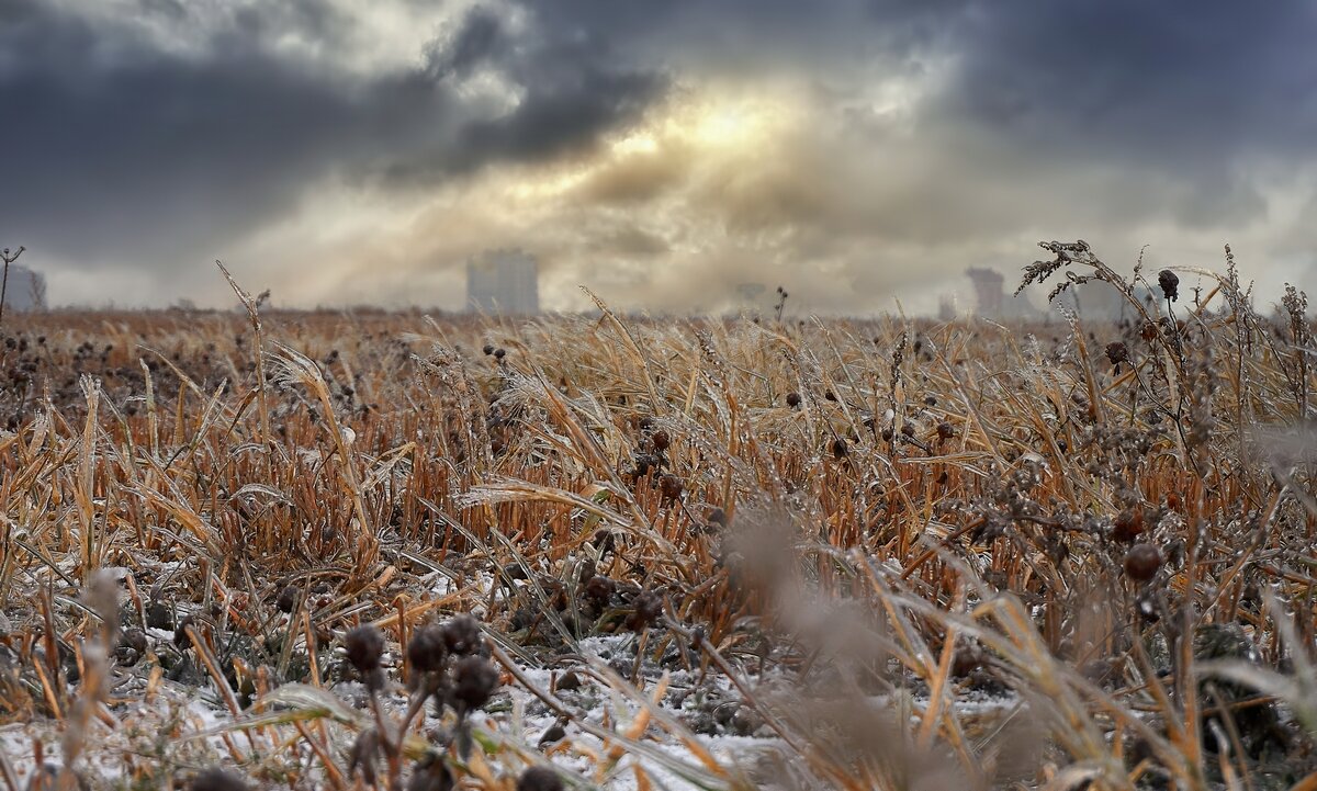Зимнее творение природы ... - Ravile 