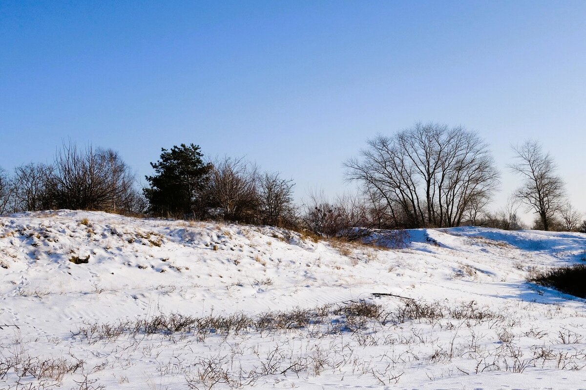 Зимний пейзаж у Балтийского моря - Рита Симонова