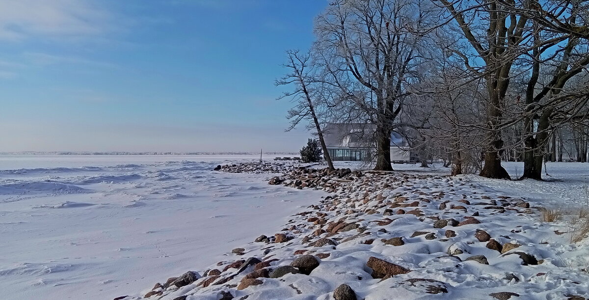 Зимний променад .... - Татьян@ Ивановна